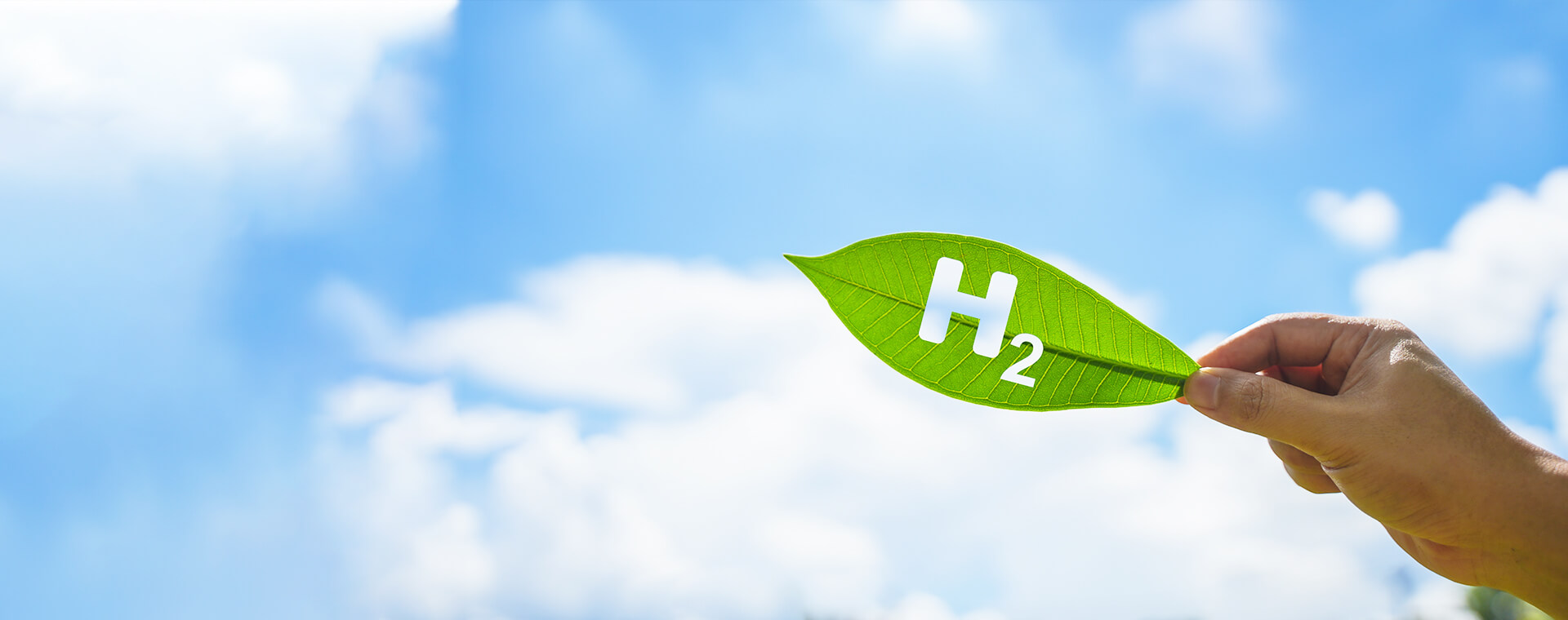 Hydrogen Solutions